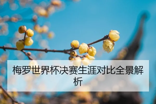 mei-luo-shi-jie-bei-jue-sai-sheng-ya-dui-bi-quan-jing-jie-xi-2-474.jpg